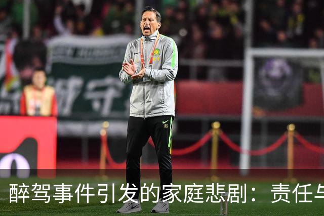 醉驾事件引发的家庭悲剧：责任与救赎的拷问